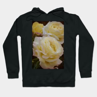 Rose 313 Hoodie